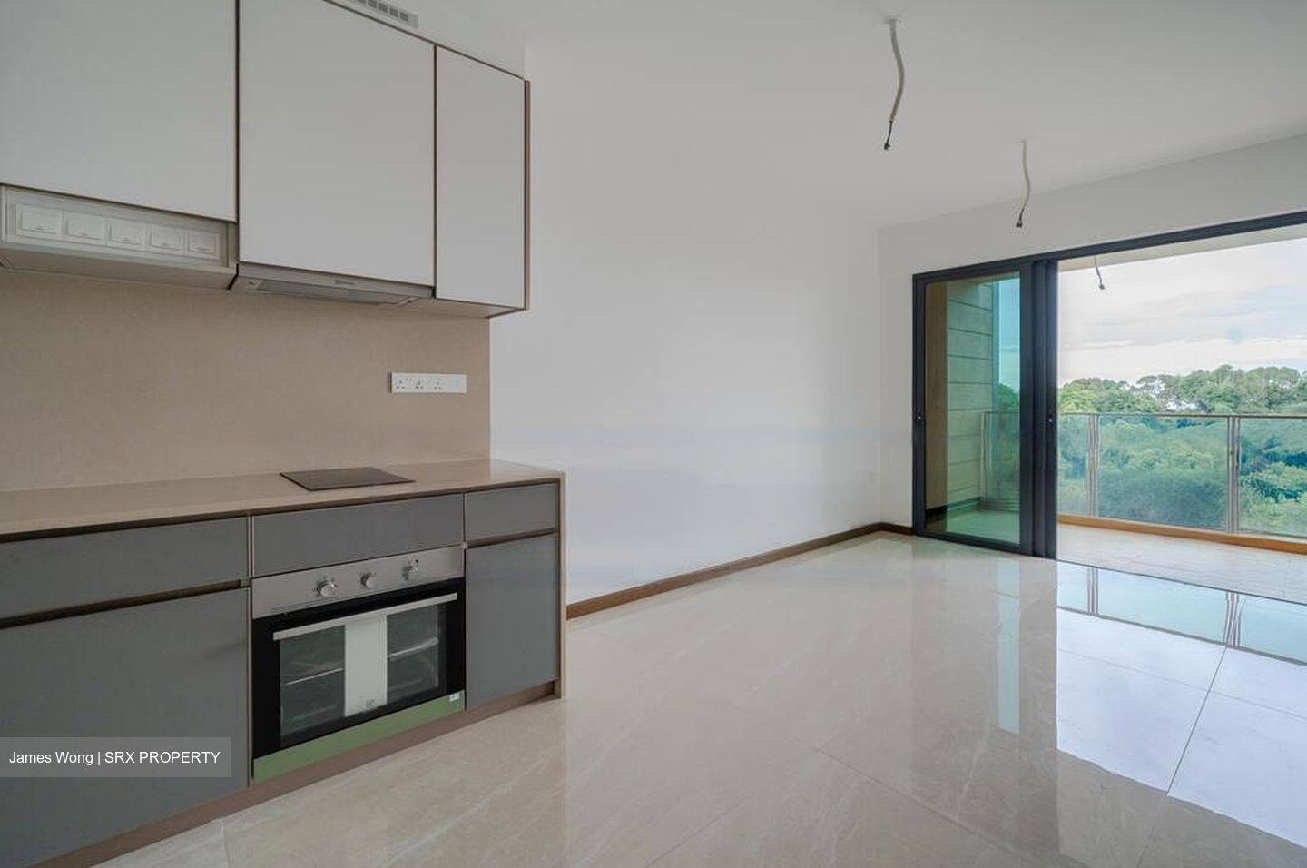 Normanton Park (D5), Apartment #466813961